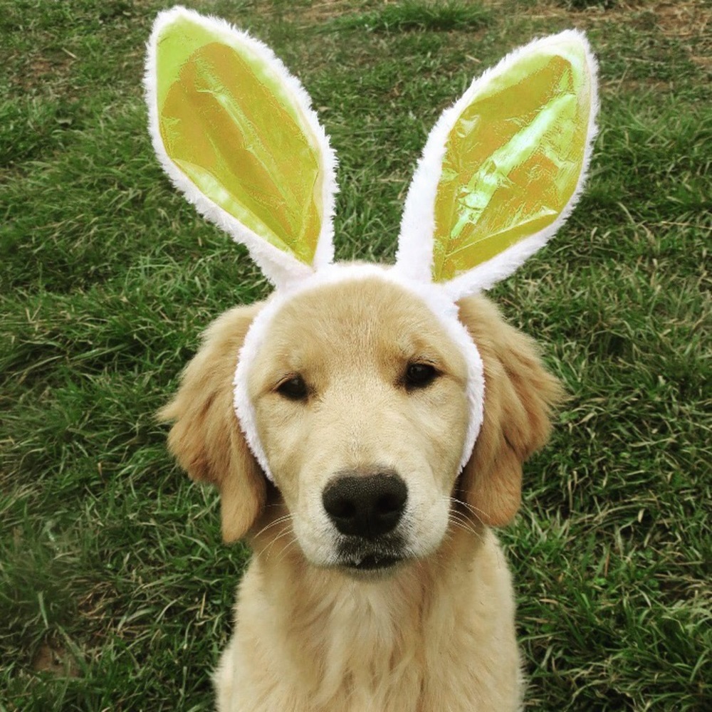 About My Closet! - Picture 7 of 7